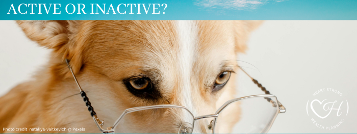 Active or inactive assets?